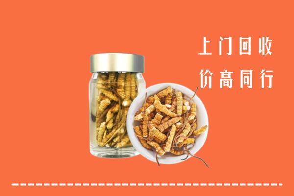 甘南州临潭回收冬虫夏草