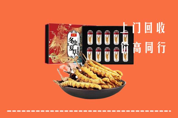 甘南州临潭回收虫草
